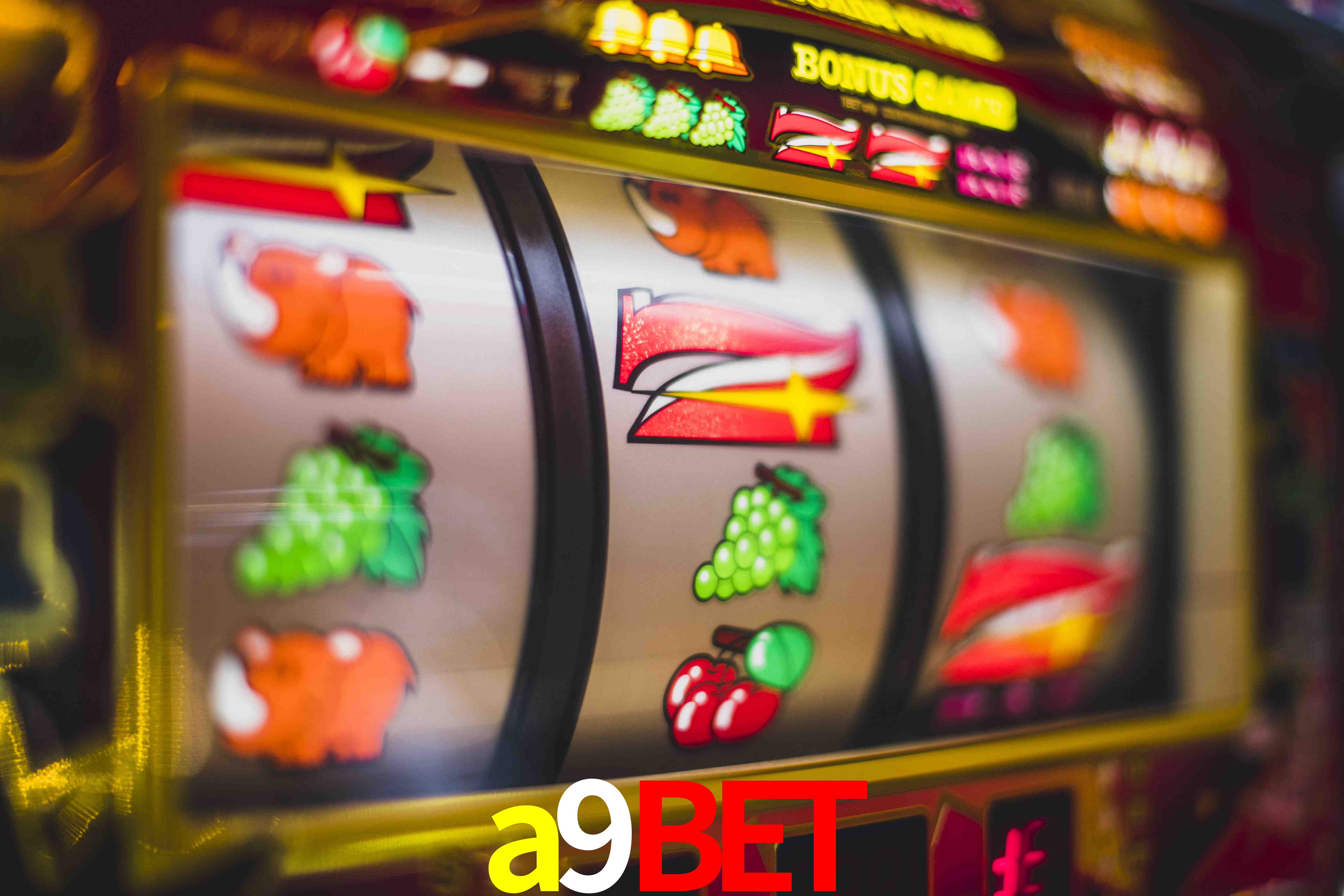 Experiência VIP a9bet