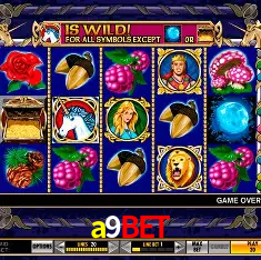 a9bet Brasília - VIP Program